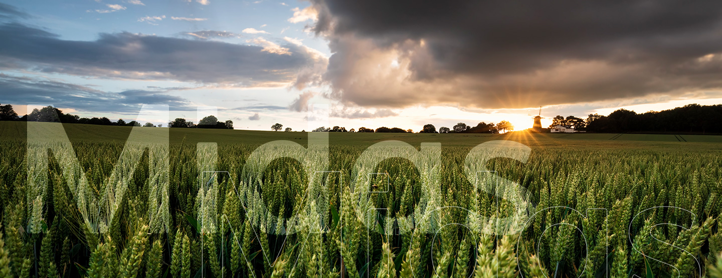 Impactos da Reforma Tributária no Agronegócio